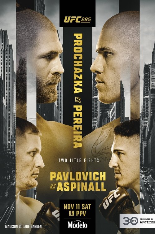 Movie poster for UFC 295: Prochazka vs. Pereira (2023)