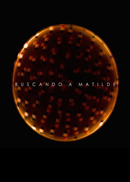 Movie poster for Looking for Matilde (2013)
