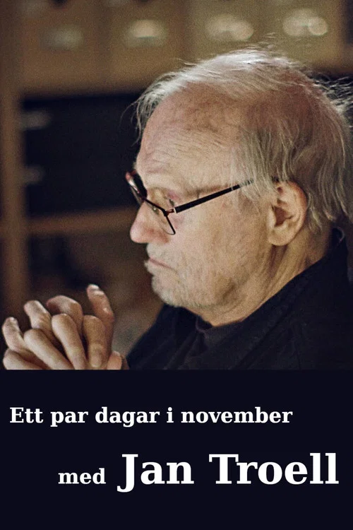 Movie poster for Ett par dagar i november med Jan Troell (2021)