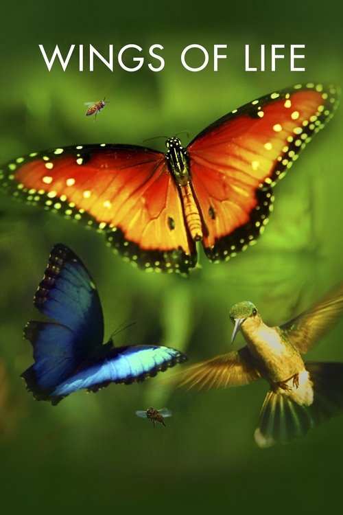 Movie poster for Wings of Life (2011)