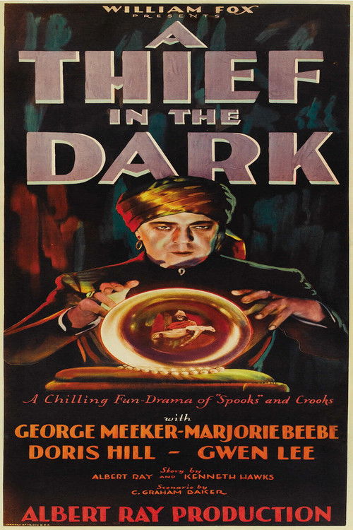 Movie poster for A Thief in the Dark (1928)