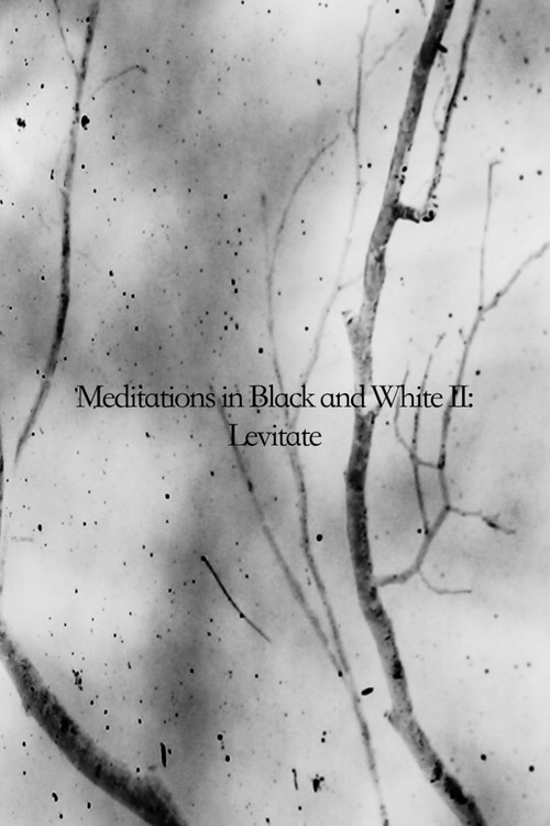 Movie poster for Meditations in Black and White II: Levitate (2024)
