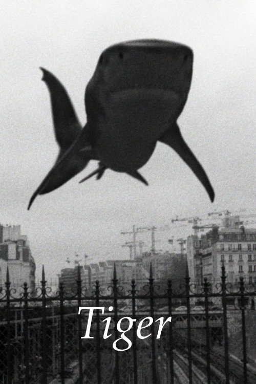 Movie poster for Tiger (2017)