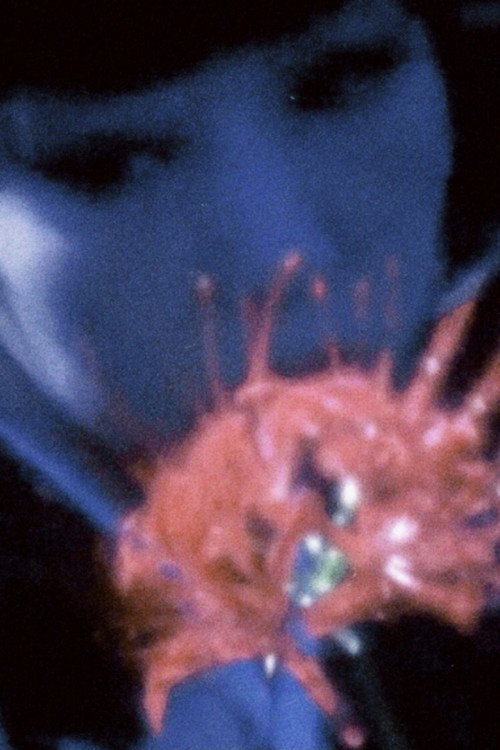 Movie poster for Despair Arabesque (2011)