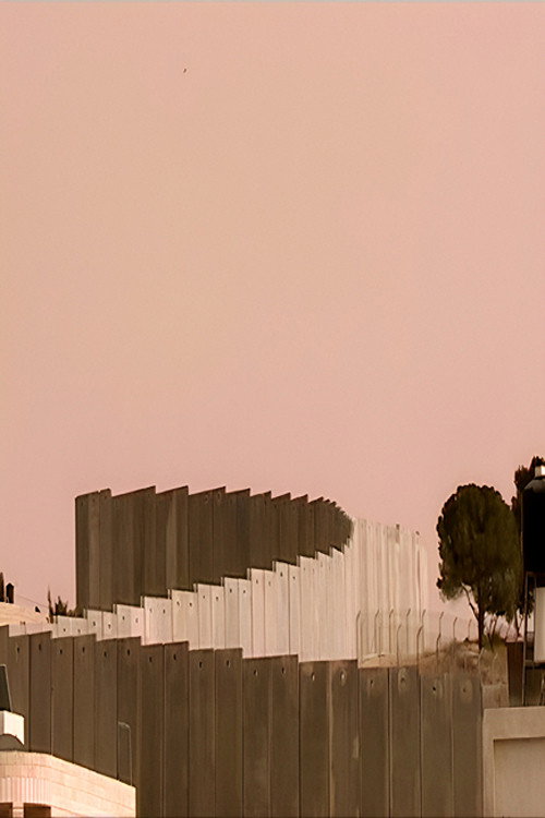 Movie poster for Palestine in Fragments (2007)
