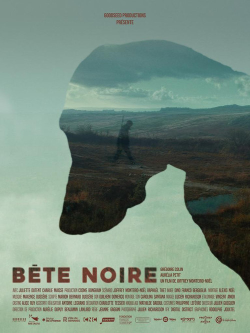 Movie poster for Bête Noire (2025)
