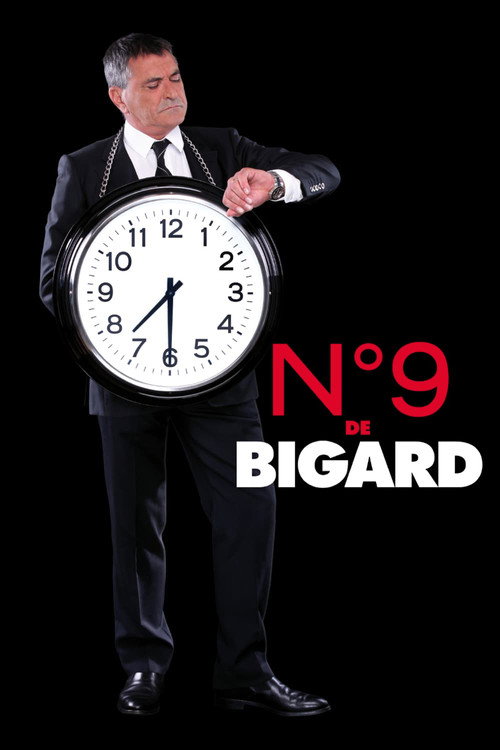 Movie poster for Bigard - N°9 (2013)