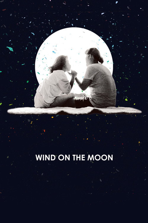 Movie poster for Wind on the Moon (2016)