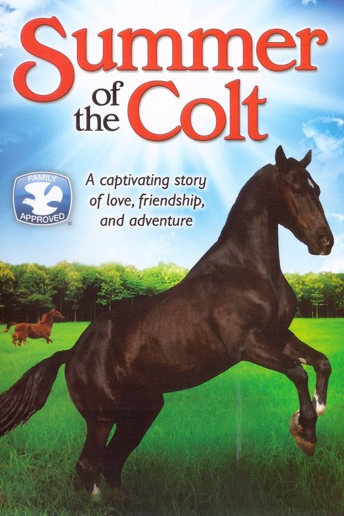 Movie poster for Summer of the Colt (1991)