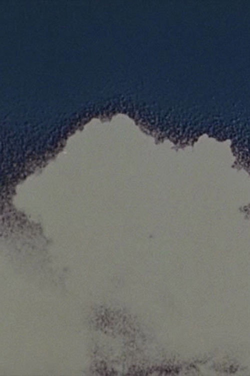 Movie poster for Blue Movie (1970)