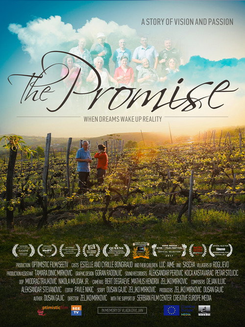 Movie poster for The Promise