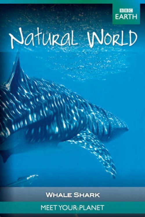 Movie poster for Whale Shark (2008)