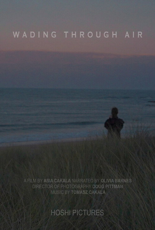 Wading Through Air poster