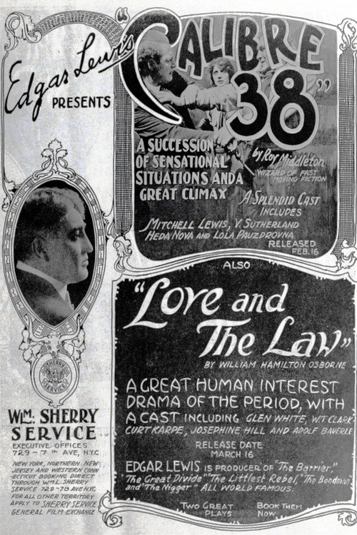 Movie poster for Love and the Law (1919)