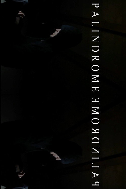 Movie poster for PalindromeemordnilaP (2022)