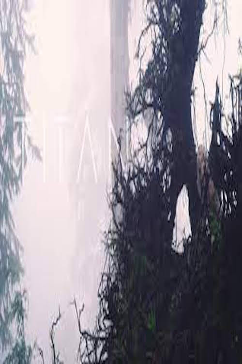 Movie poster for Titan (2016)