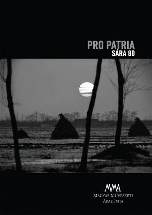 Movie poster for Pro Patria (1970)