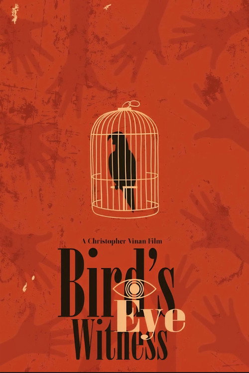 Movie poster for Bird's Eye Witness