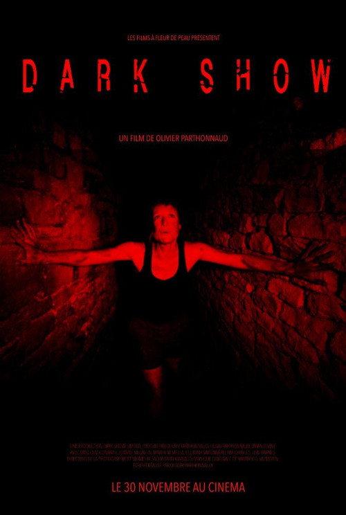 Movie poster for Dark Show (2016)