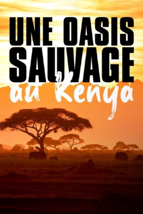 Series poster for Once Upon a Time in Tsavo (2023)
