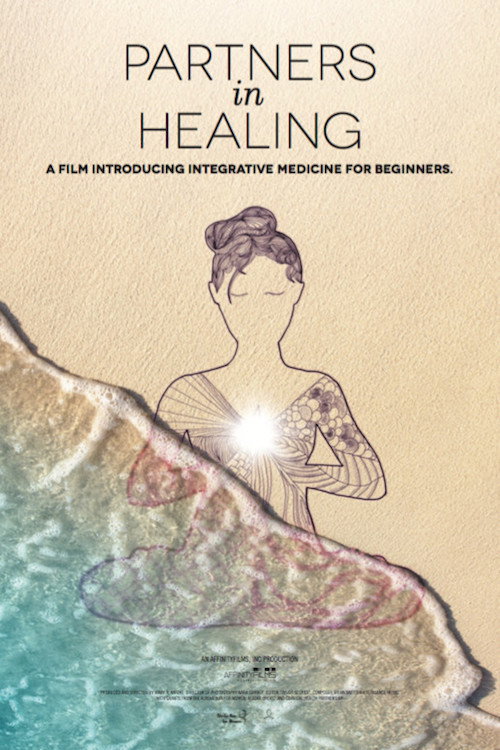 Movie poster for Partners in Healing (2017)