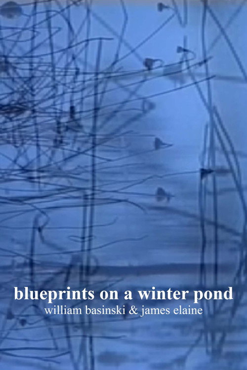 Movie poster for blueprints on a winter pond (2006)