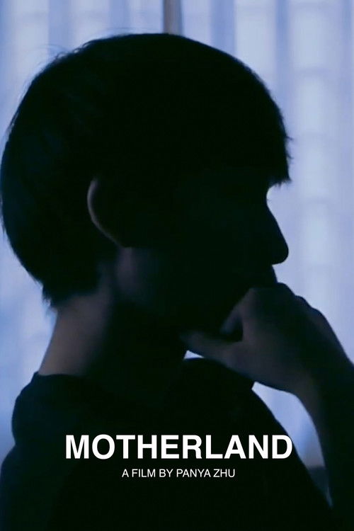 Movie poster for Motherland (2017)
