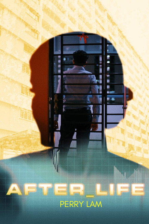 Movie poster for After_Life (2020)