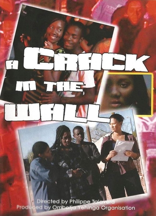 Movie poster for A Crack in the Wall (2009)
