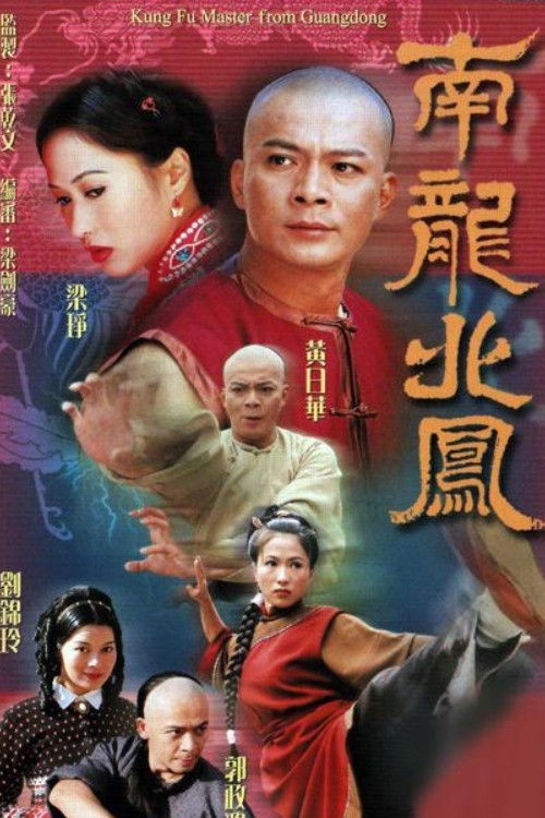 Kung Fu Master From Guangdong poster