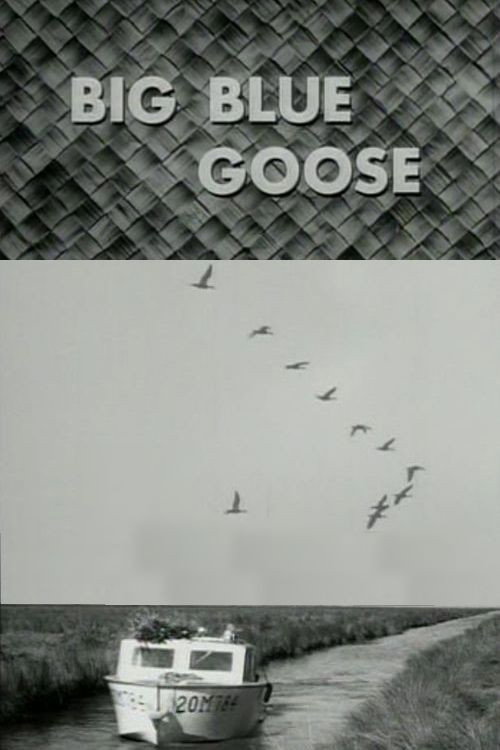 Movie poster for Big Blue Goose (1956)
