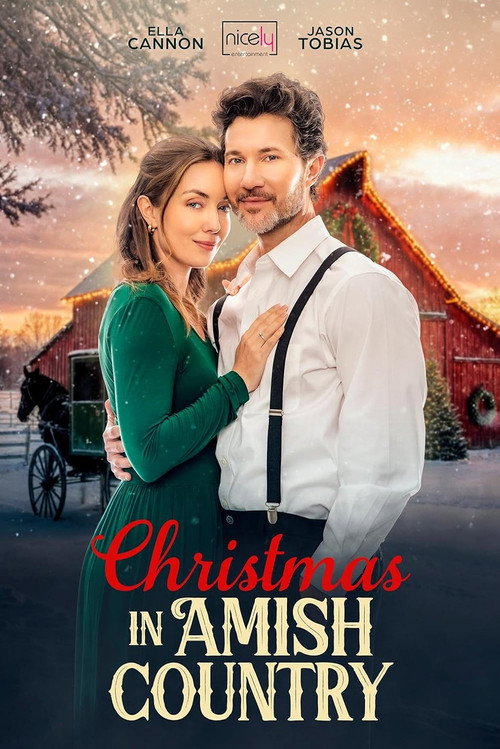 Movie poster for Christmas in Amish Country (2025)