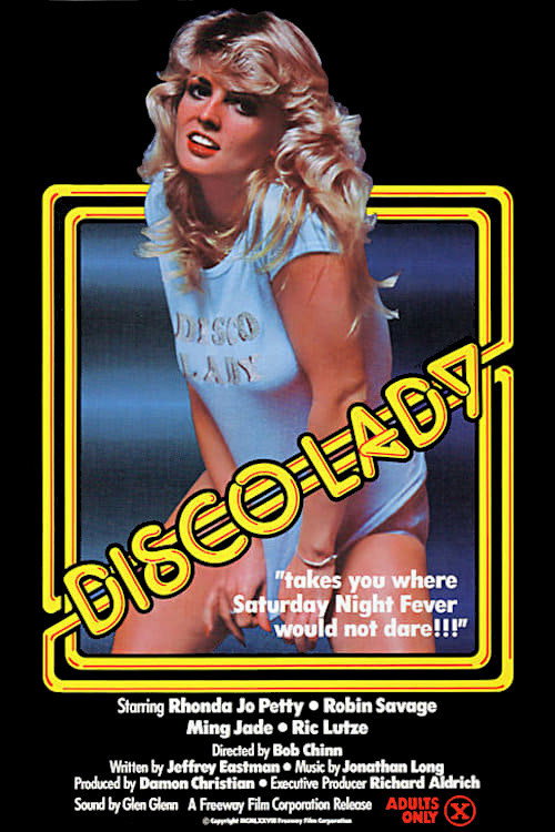 Movie poster for Disco Lady (1978)
