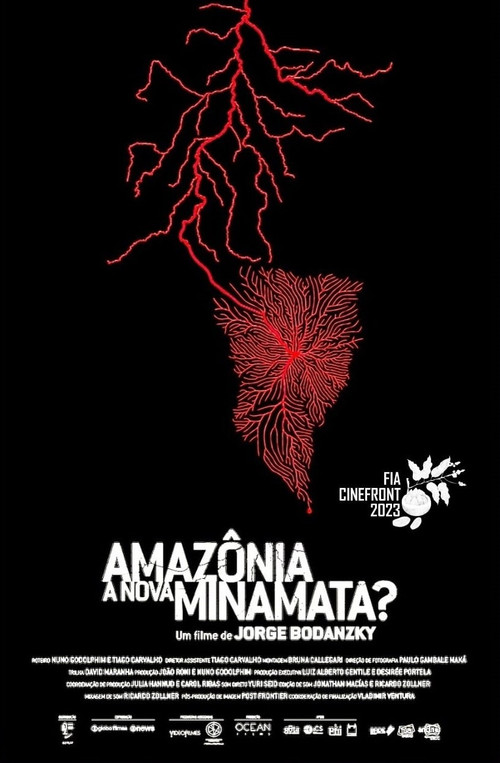 Movie poster for Amazônia, a Nova Minamata? (2022)