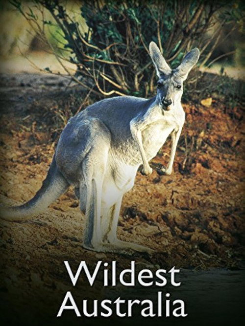 Movie poster for Wildest Australia (1996)