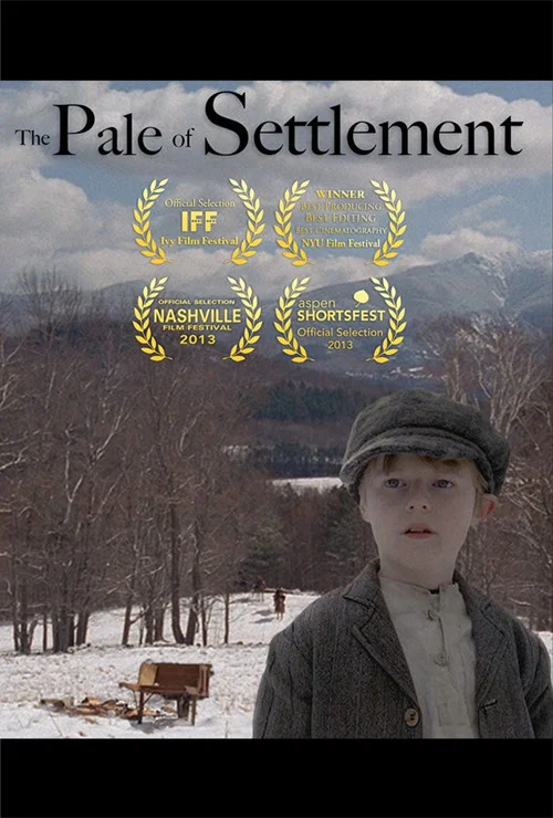 Movie poster for The Pale of Settlement (2013)