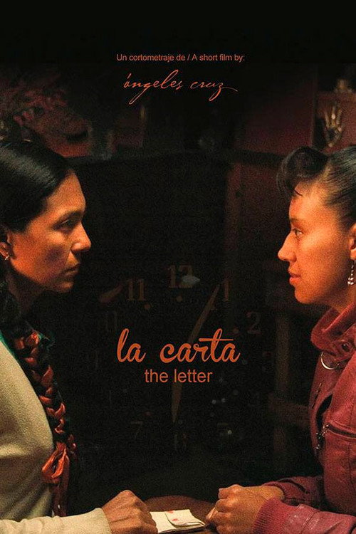 Movie poster for The Letter (2014)