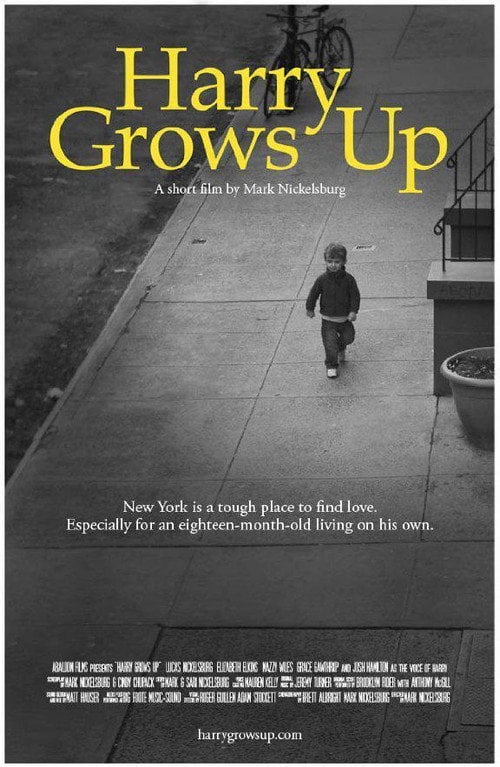 Movie poster for Harry Grows Up (2012)