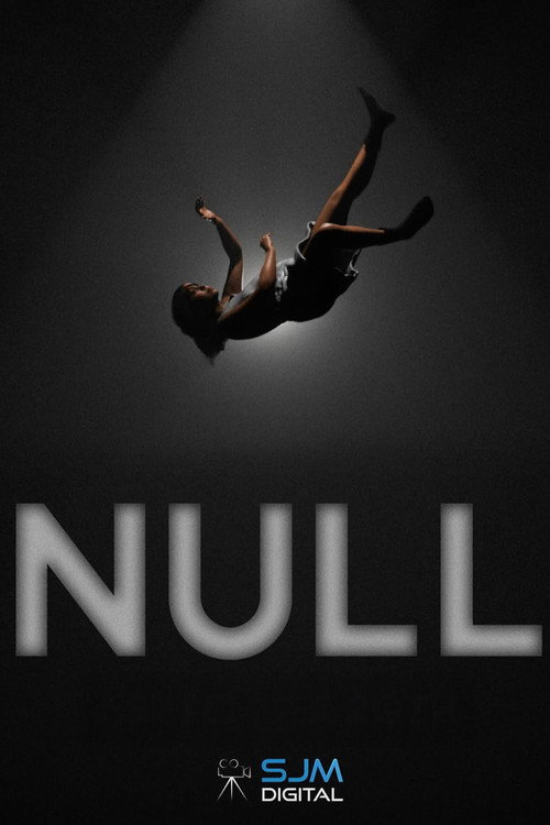 Movie poster for Null (2024)