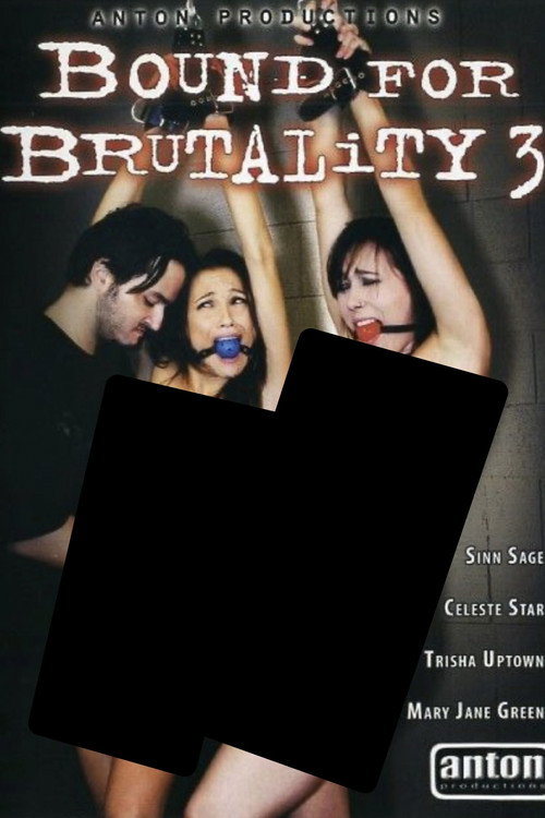 Movie poster for Bound for Brutality 3 (2010)