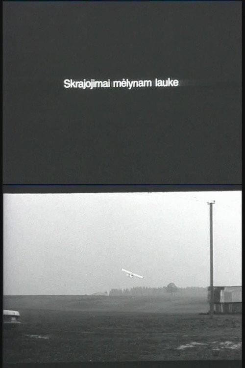 Movie poster for Flying Over the Blue Fields (1996)