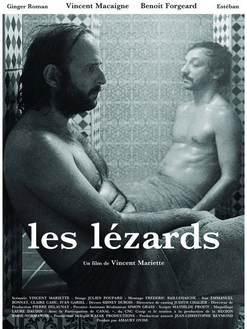 Movie poster for The Lizards (2013)