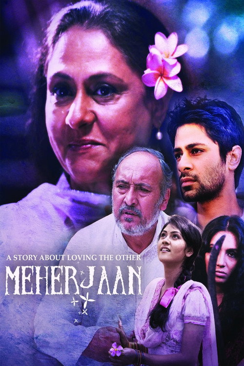 Movie poster for Meherjaan (2011)
