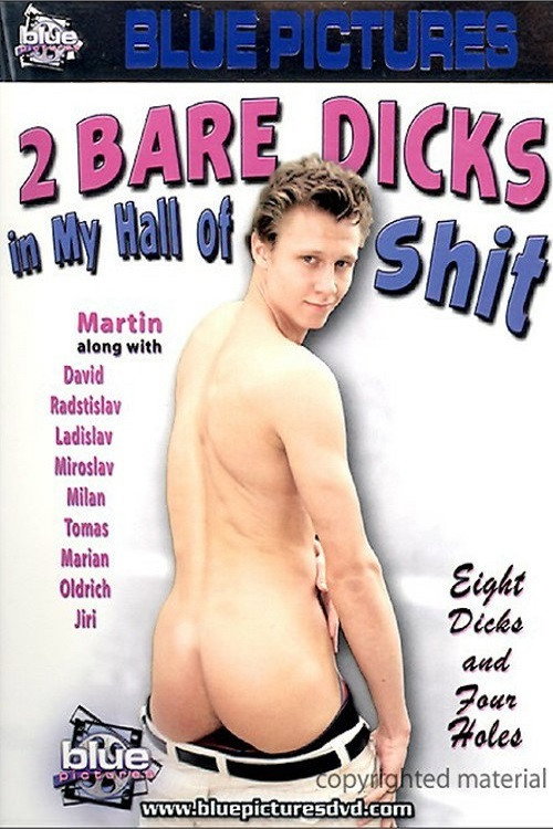 Movie poster for 2 Bare Dicks in My Hall of Shit (2007)