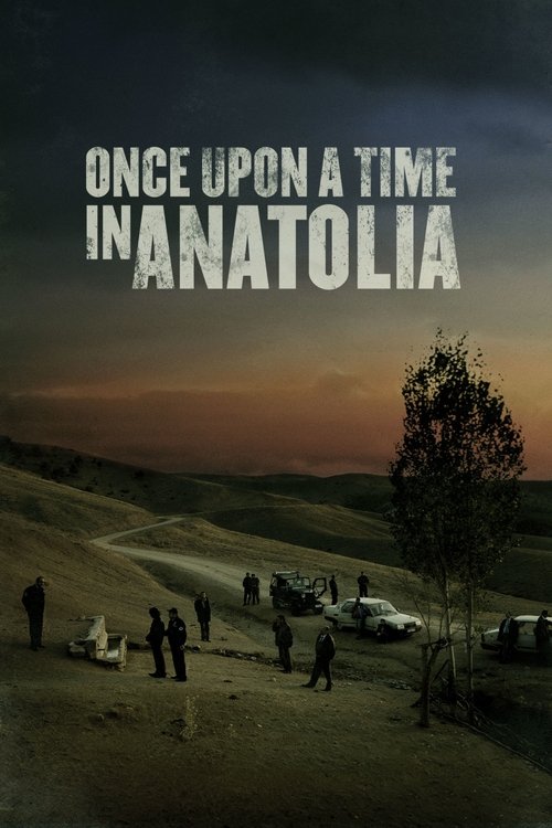 Movie poster for Once Upon a Time in Anatolia (2011)