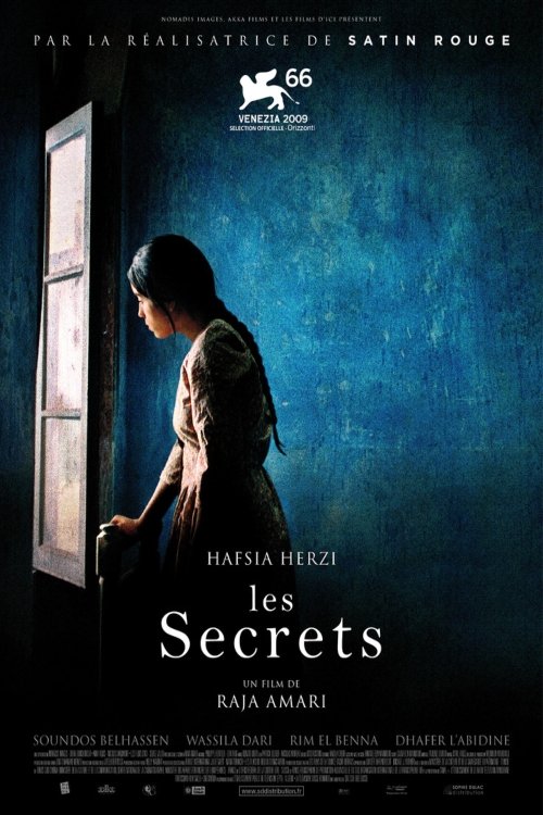 Movie poster for Buried Secrets (2009)