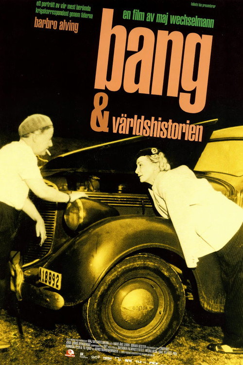 Movie poster for Bang och världshistorien (2008)