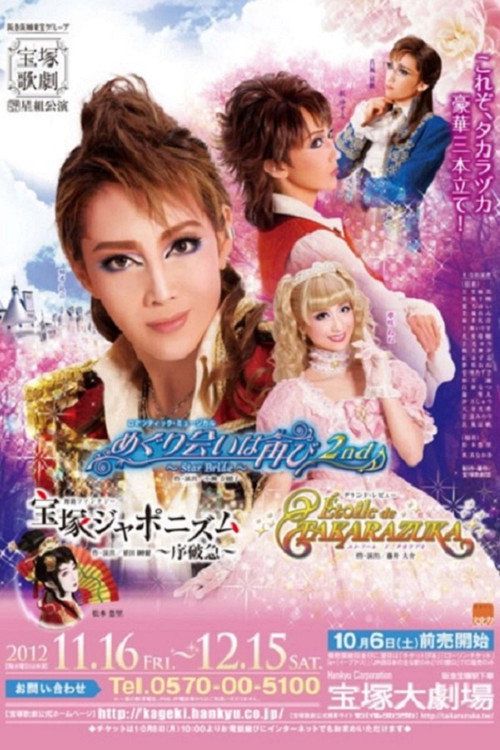 Movie poster for A Second Fortuitous Meeting 2nd ~Star Bride~ (2012)