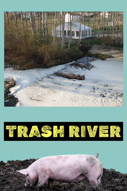Movie poster for Trash River