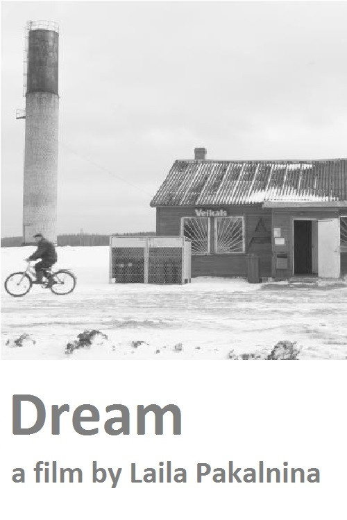 Movie poster for Dream (2016)